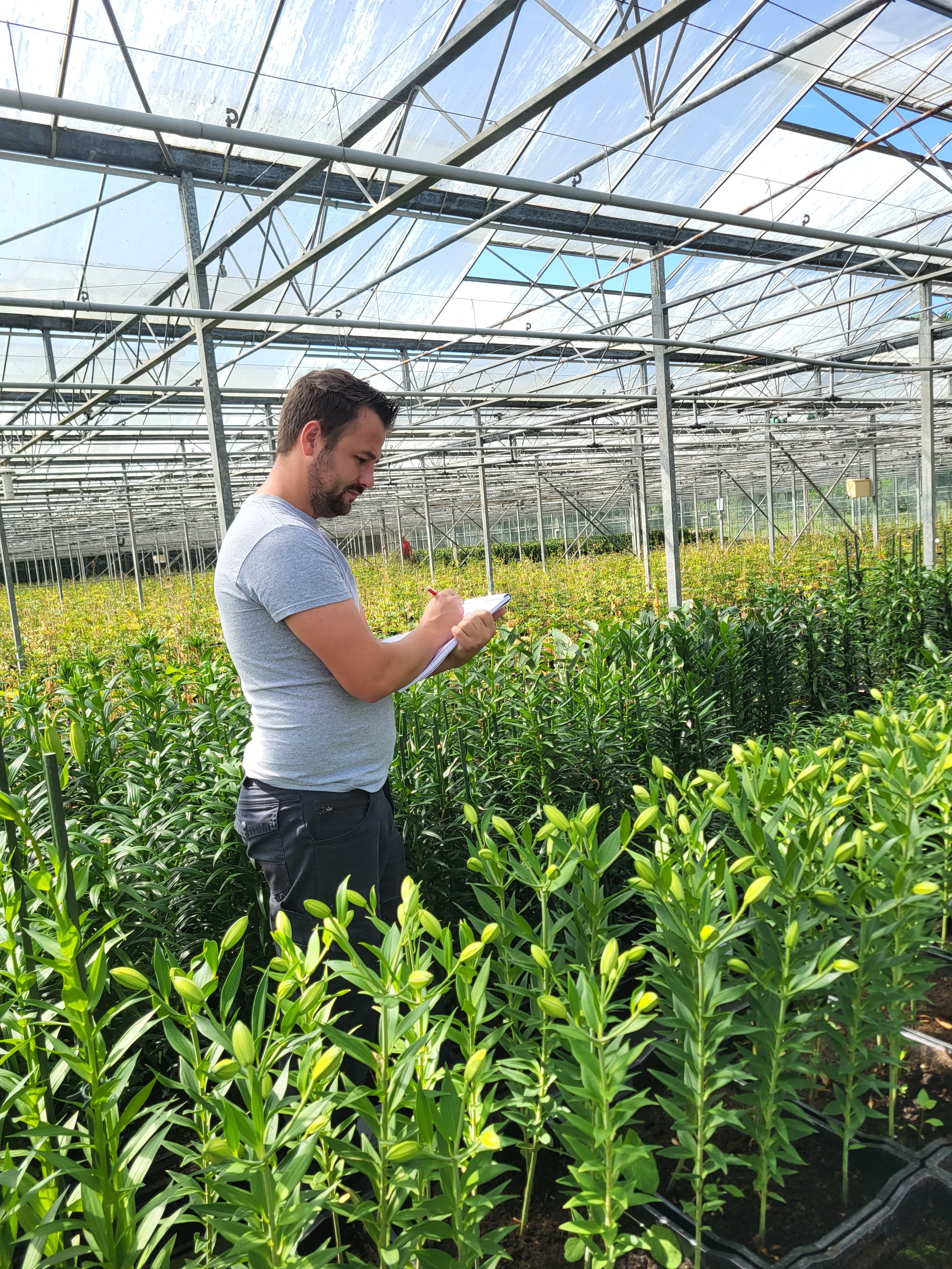 Selectie van nakomelingen