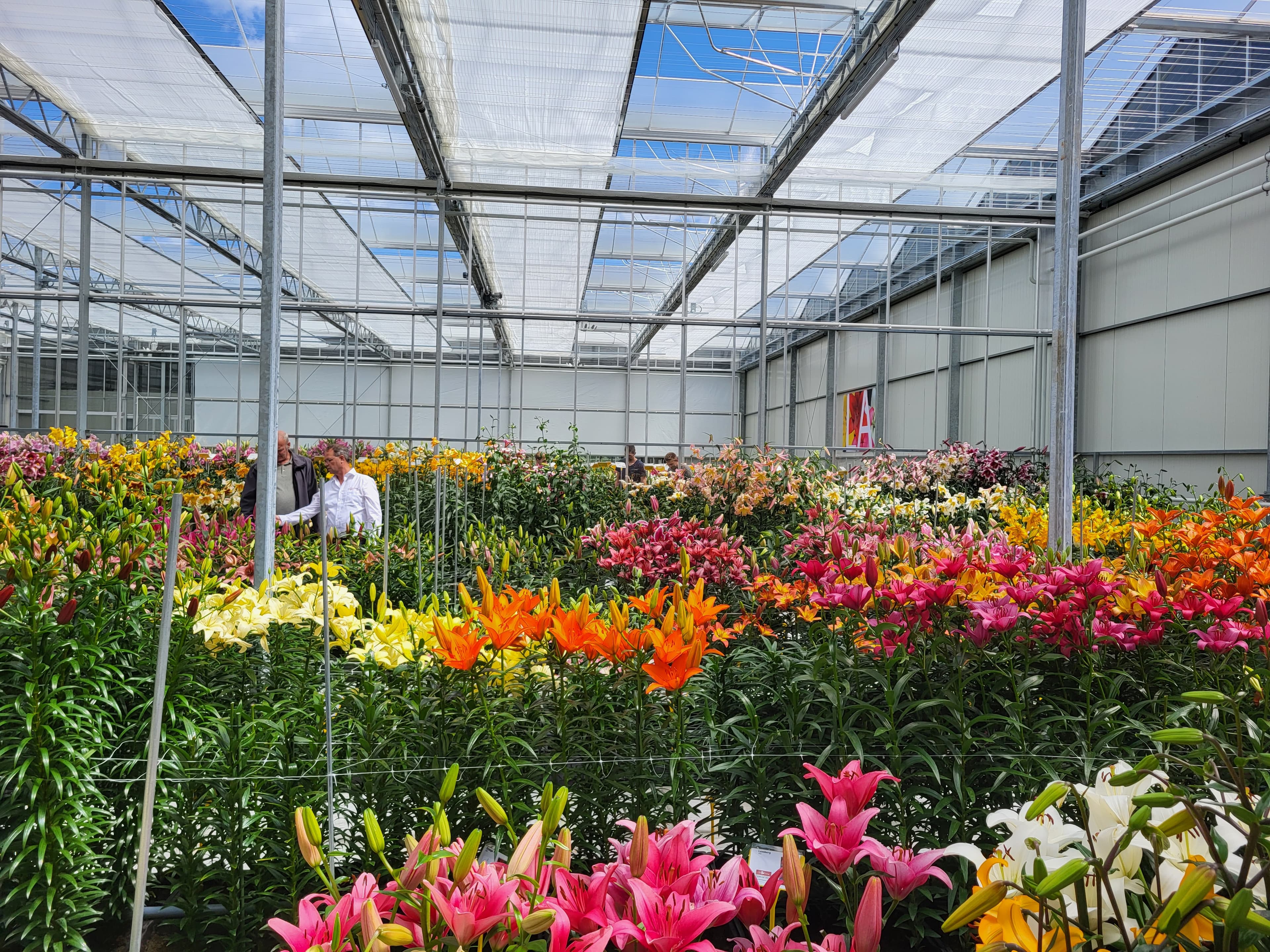 Testen en selecteren