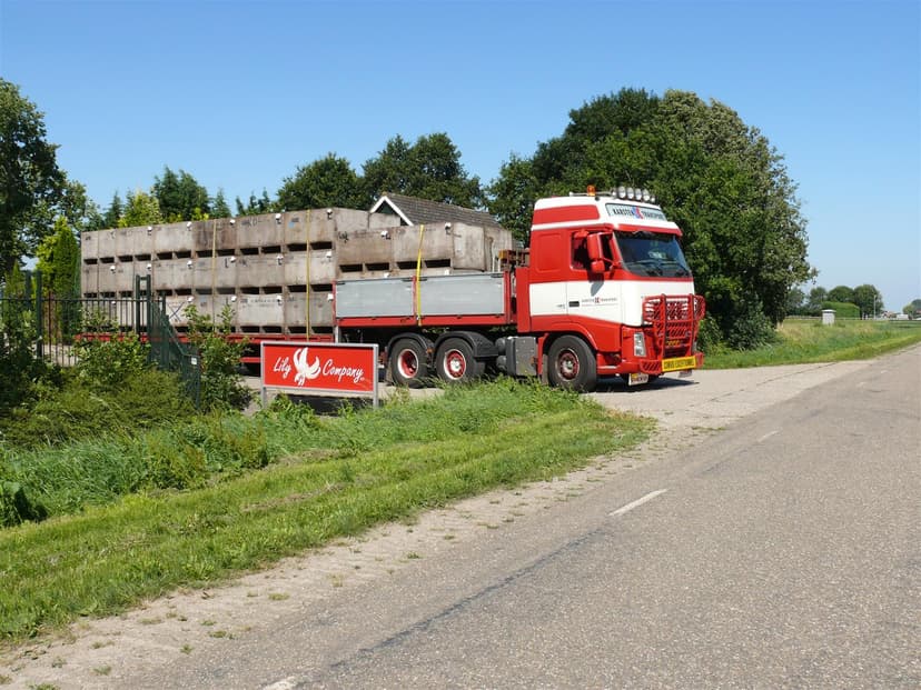 Eigen vervoer Lelie bollen
