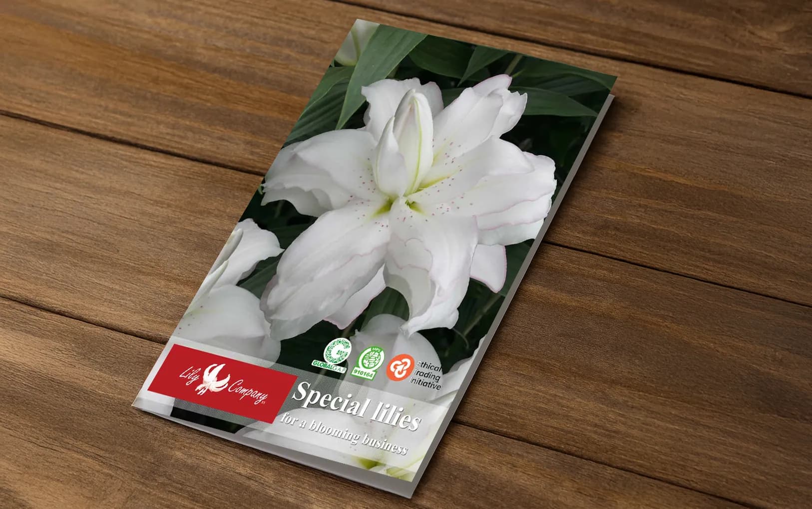 Catalogus Lily Company 2025