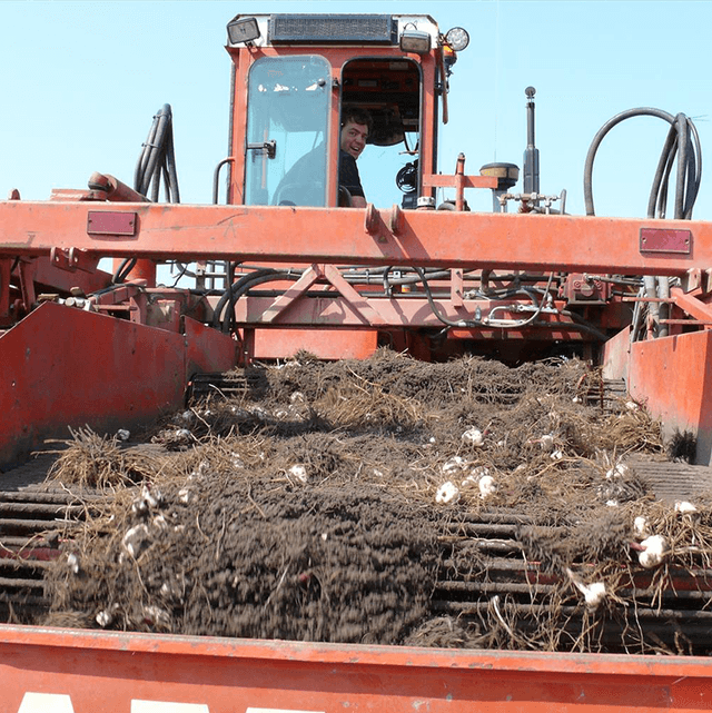 Sustainable cultivation and production