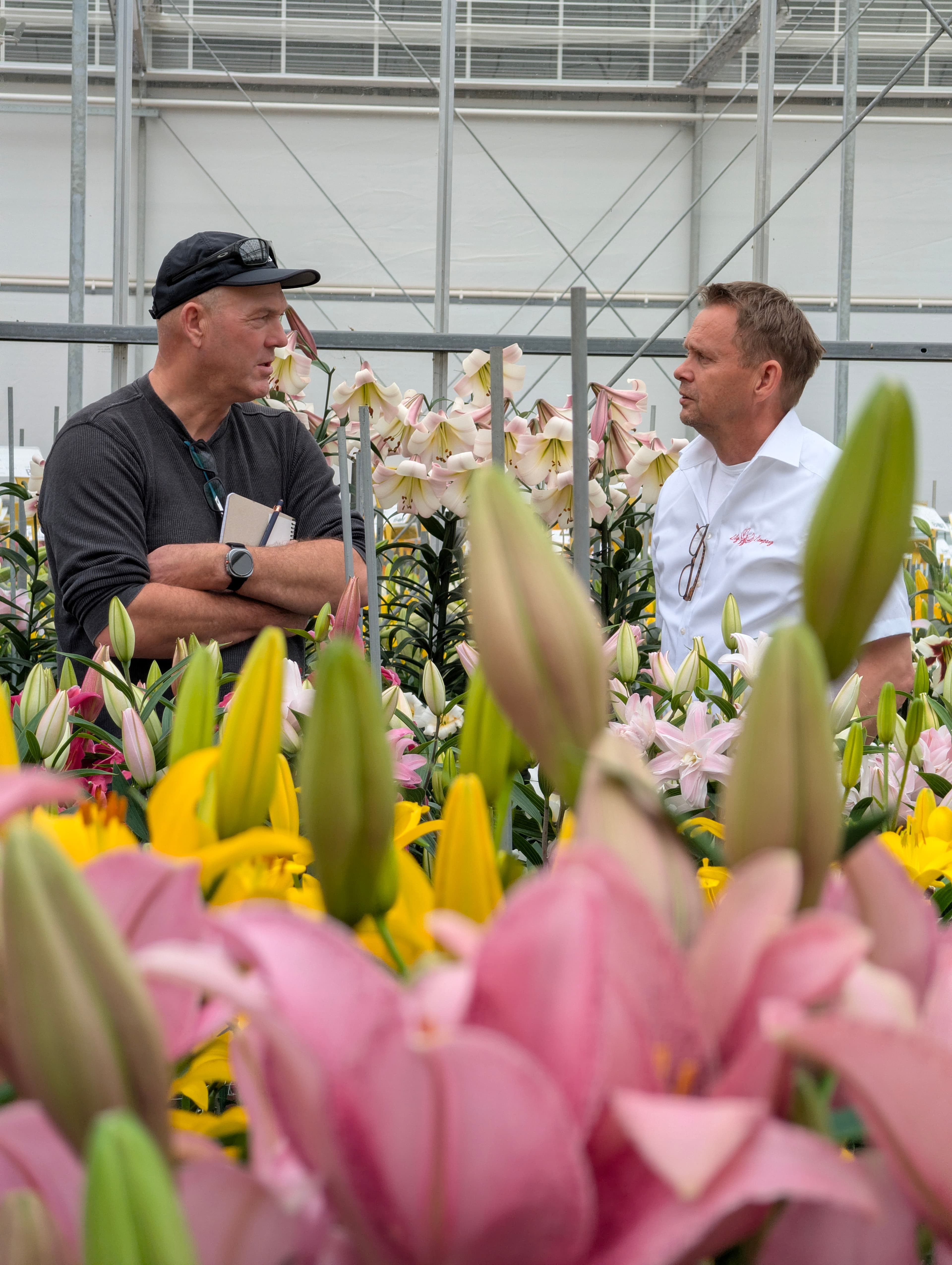 Een geweldige editie van de Dutch Lily Days 2026