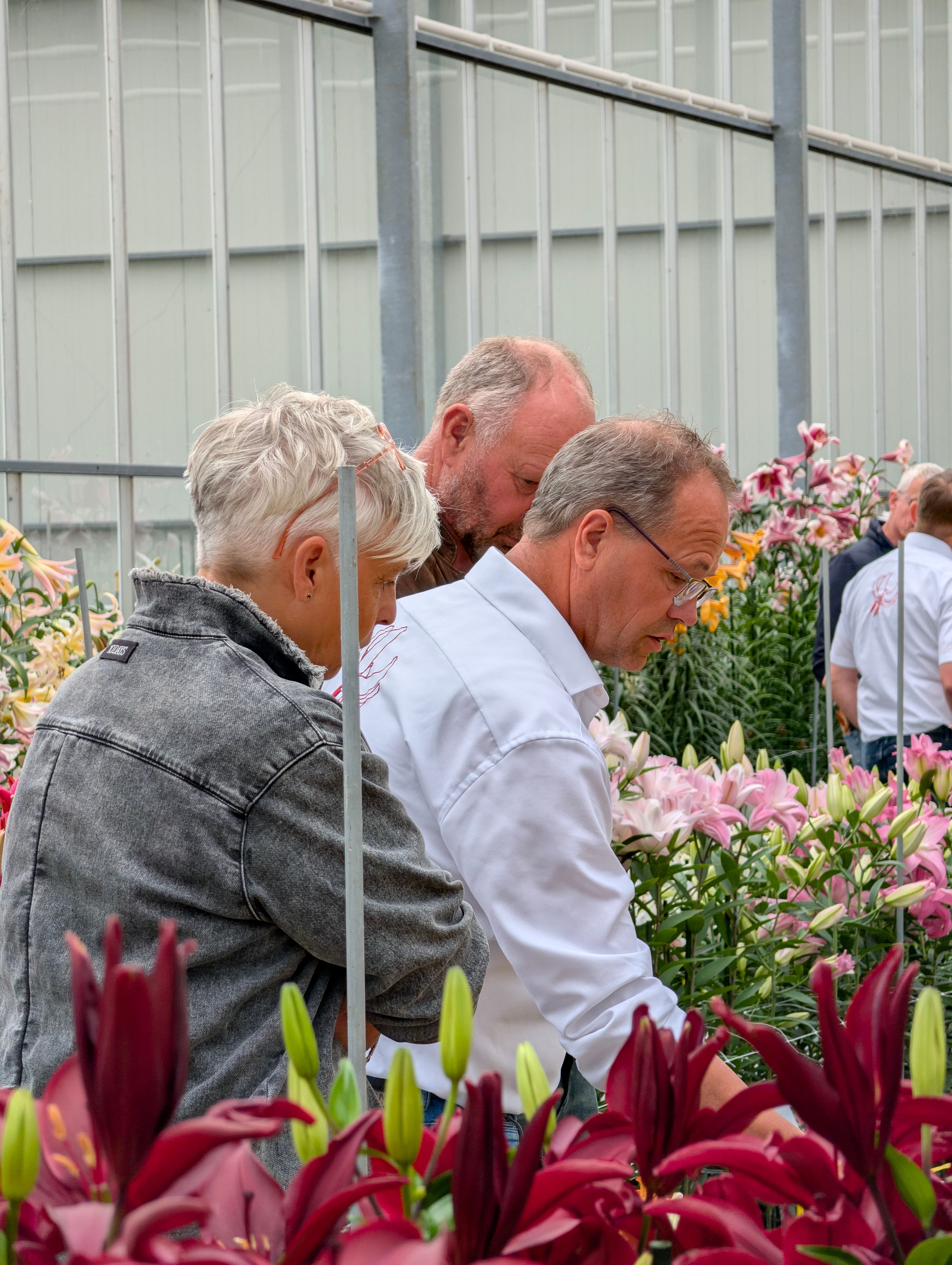 Een geweldige editie van de Dutch Lily Days 2026