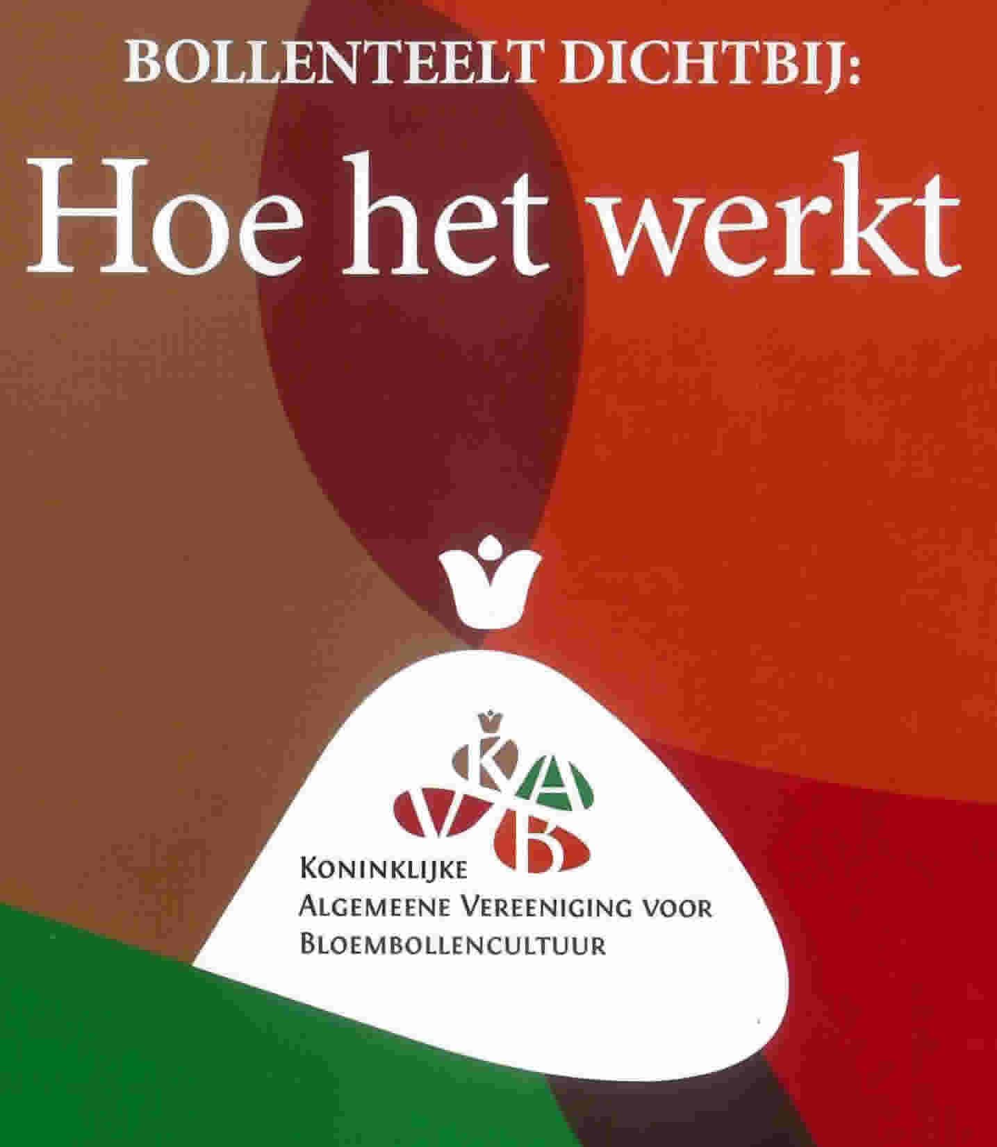 Bloembollenteelt hoe werkt het?