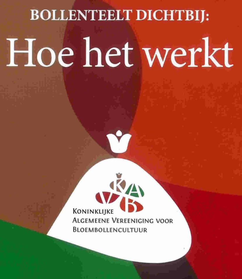 Bloembollenteelt hoe werkt het?