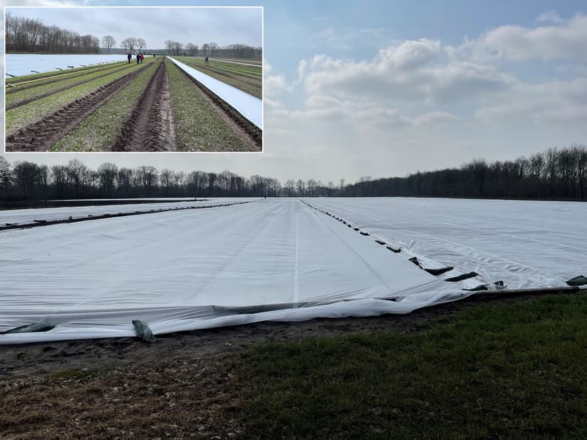 Fleecedoeken leggen tegen de vorst.