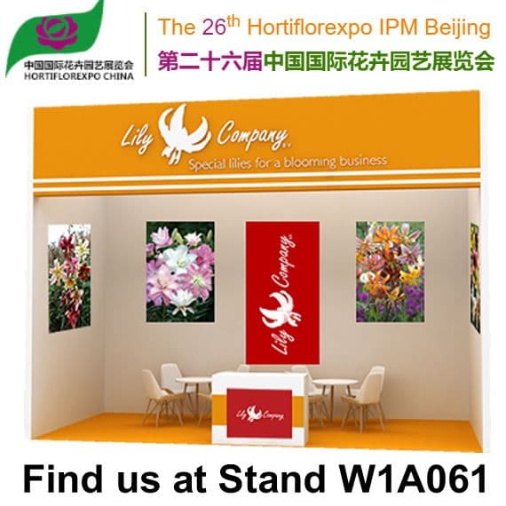 Lily Company B.V. op IPM Beijing 2024! 
