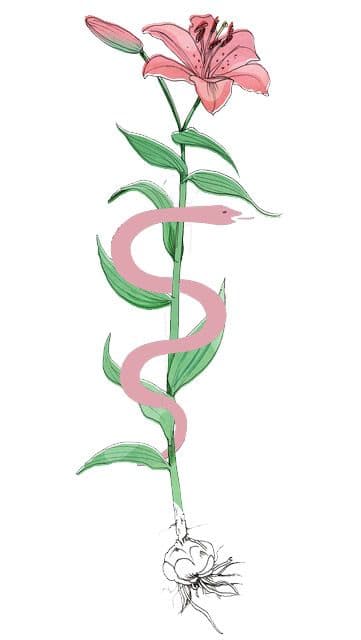 Onderzoek Blootstelling Omwonenden