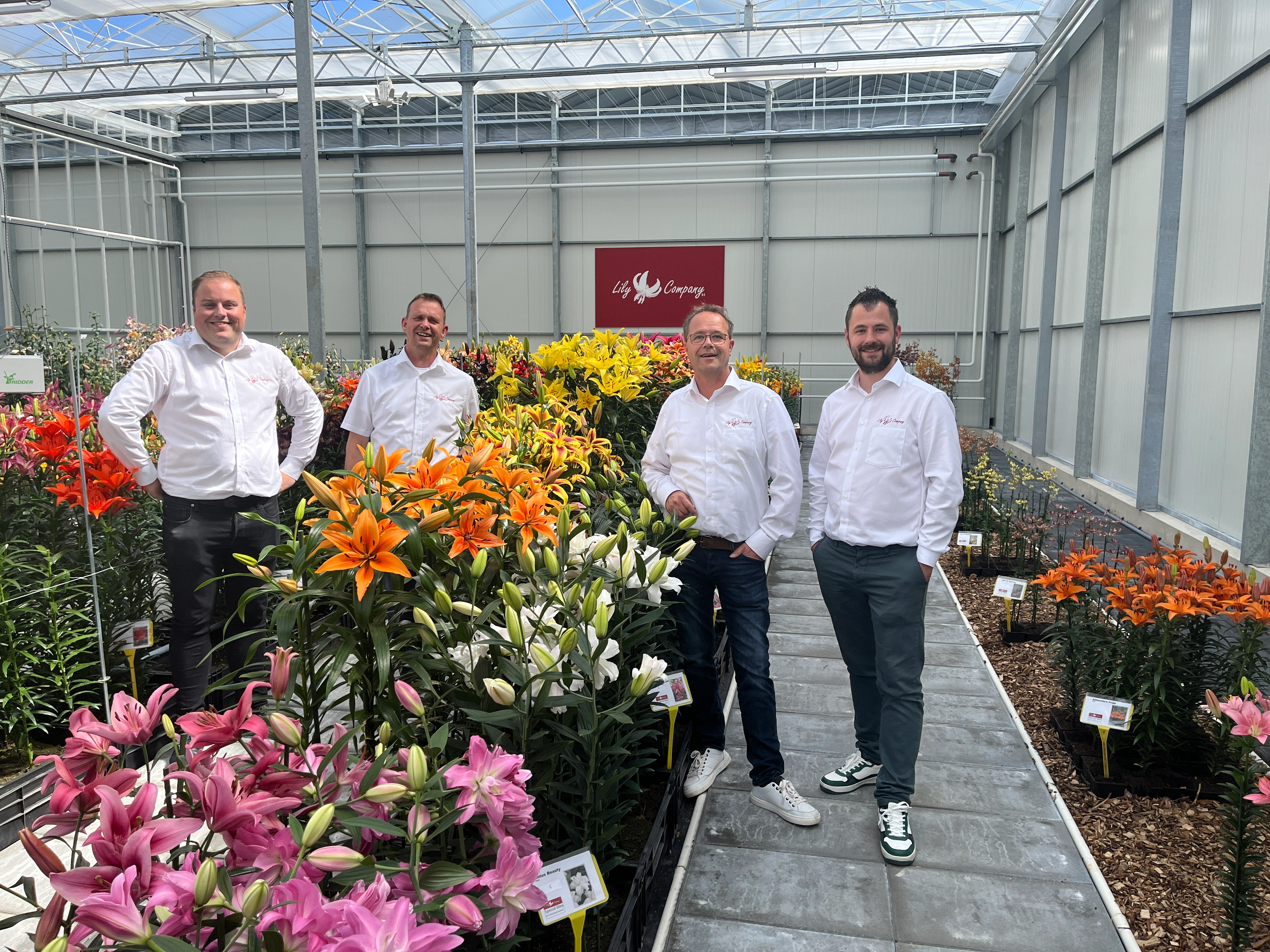 About us | Lily Company