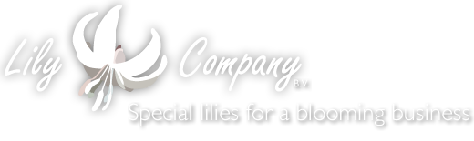 Lily Company B.V.